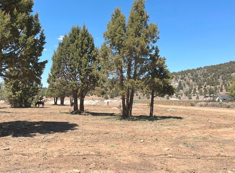More Photos Of Erwin Ranch Rd, Big Bear City Land For Sale