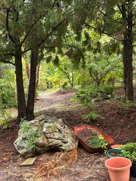 More Photos Of 153 Franklin St, Hot Springs Land For Sale