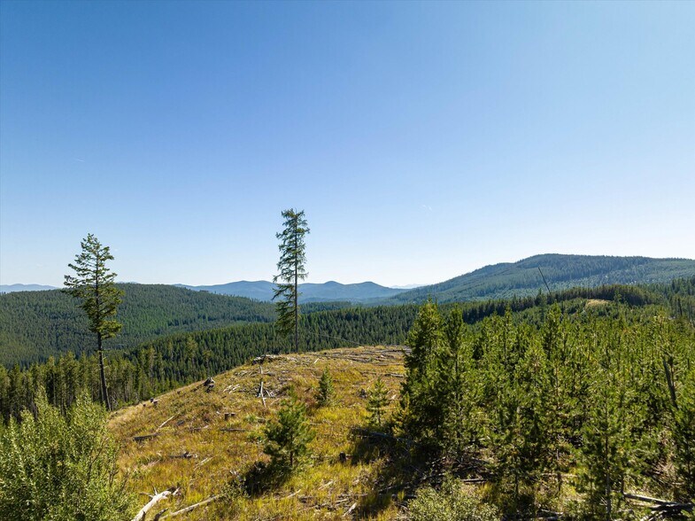 More Photos Of Nhn Logan Creek Road, Kila Land For Sale