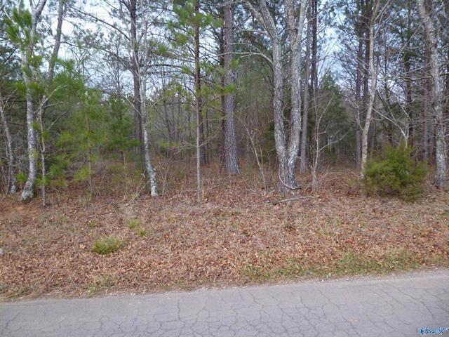 More Photos Of 5900 Martin Ave NE, Fort Payne Land For Sale