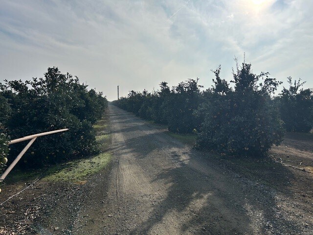 More Photos Of Road 264-South of 95 ave, Terra Bella Land For Sale