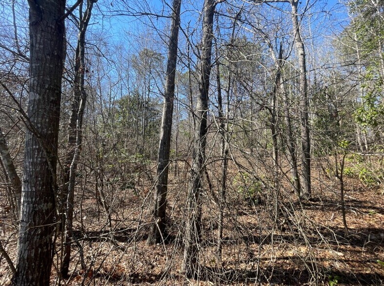 More Photos Of 00 Bradleyville Road, North Augusta Land For Sale