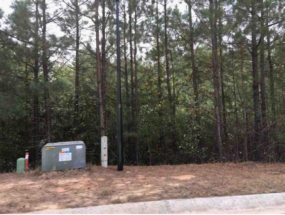 More Photos Of Mill Run @ Mill Pond Way, Bremen Land For Sale