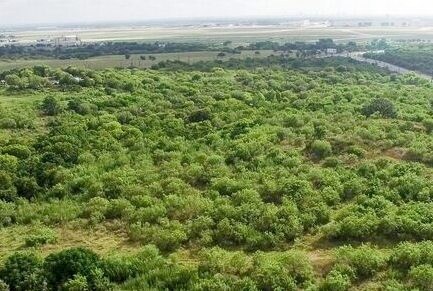 More Photos Of 5039 Old Pearsall Rd, San Antonio Land For Sale
