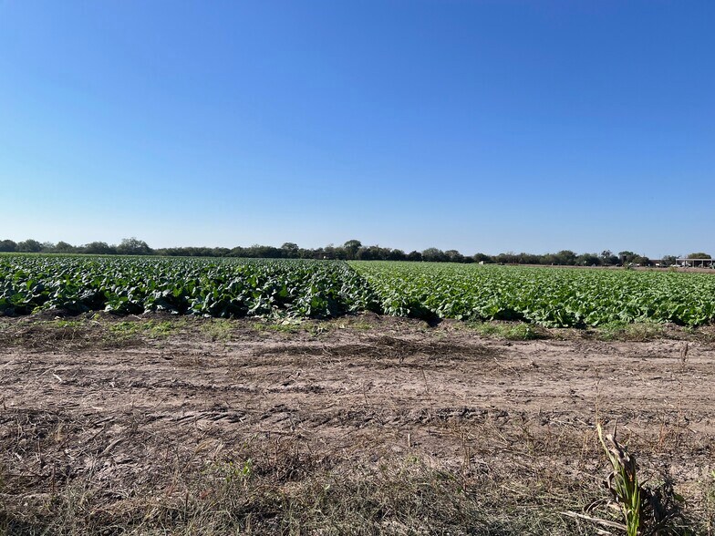 More Photos Of 271.62 Acs on West side of Pharr Intl. Bridge, Pharr Land For Sale