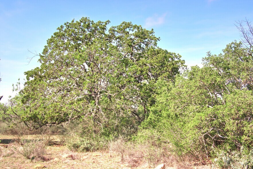 More Photos Of FM 574, Goldthwaite Land For Sale