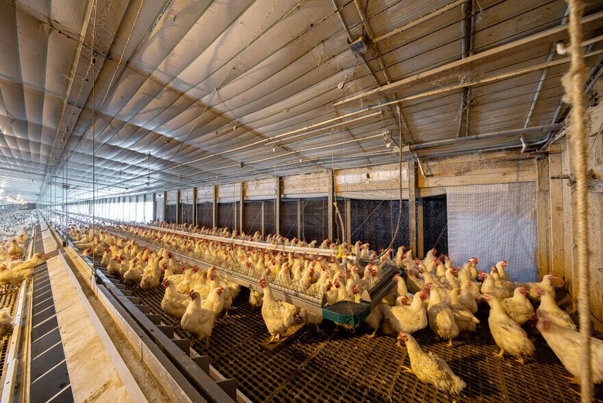 More Photos Of 1291 Myron Hart Rd, Coolidge Land For Sale