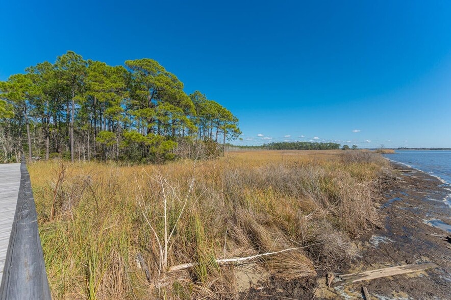 More Photos Of Hwy 331 S & Jolly Bay Road, Freeport Land For Sale