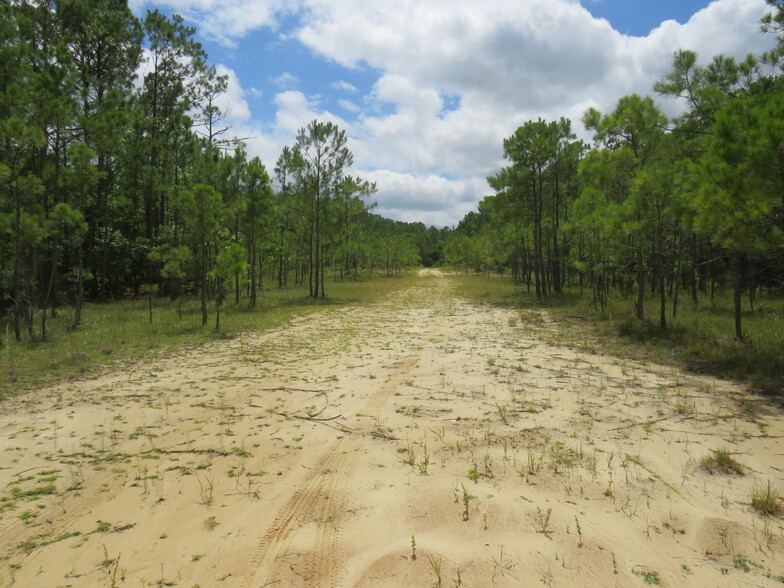 Primary Photo Of EVA. RD,, Little River Land For Sale