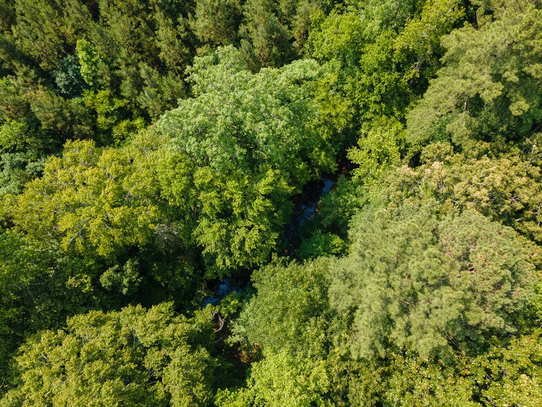 More Photos Of 0 Tom Wright Rd, Franklinton Land For Sale