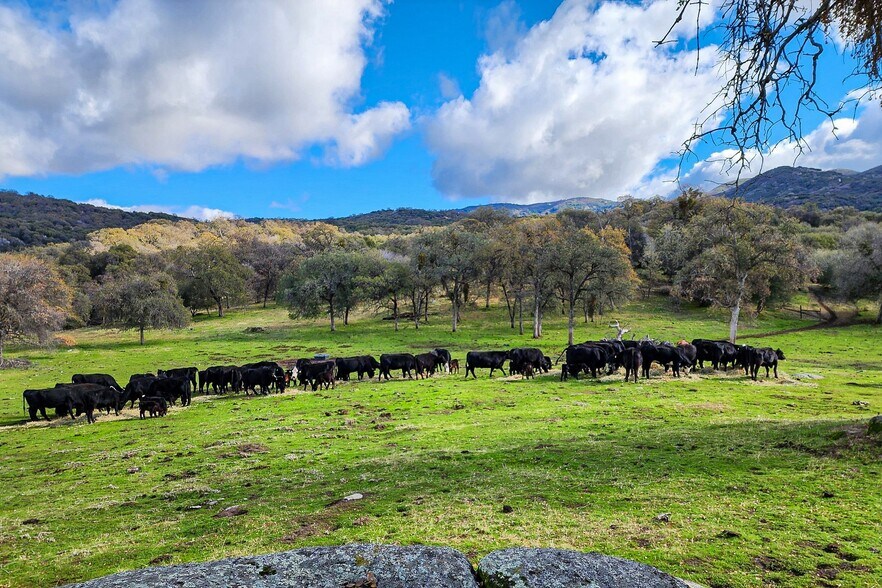 More Photos Of Dry Creek Drive, Badger Land For Sale