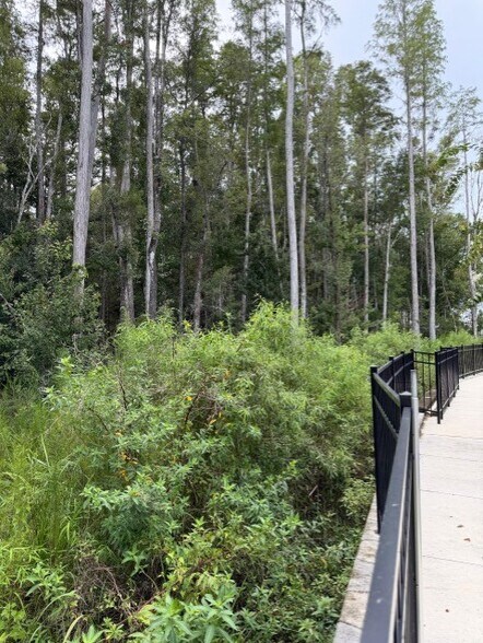 More Photos Of 0 Wesley Chapel Boulevard, Lutz Land For Sale