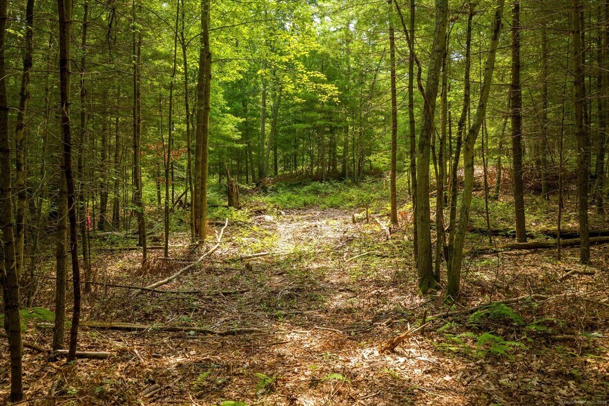 More Photos Of 219 Pomfret St, Putnam Land For Sale