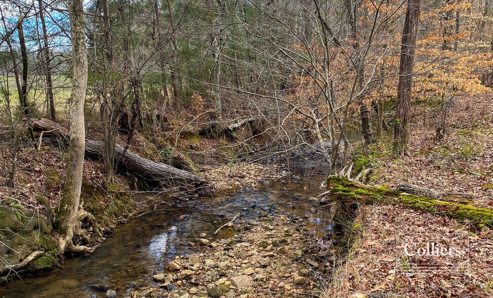 More Photos Of Long Road Rd, Ridgeway Land For Sale