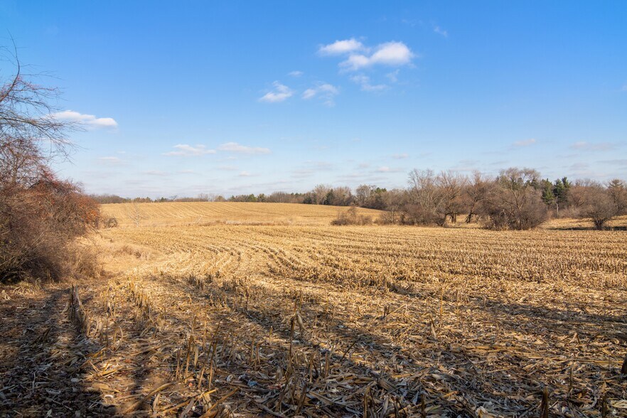 More Photos Of 19925 W Indian Creek Rd, Long Grove Land For Sale