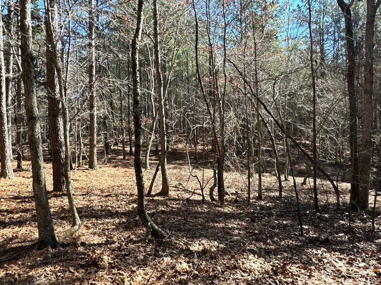 More Photos Of 3472 Prior Station Rd, Cedartown Land For Sale