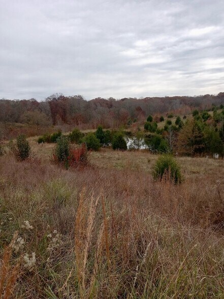 More Photos Of 1486 Martin Road, Ware Shoals Land For Sale