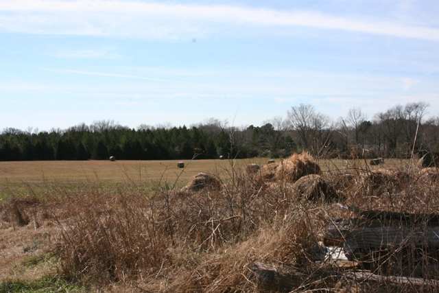 More Photos Of 2365 E Oak St, Conway Land For Sale