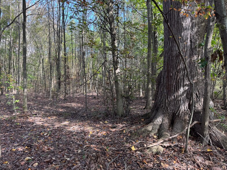 More Photos Of Grand Valley ave, Orwell Land For Sale