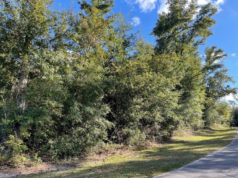 More Photos Of 5320 Indian Bluff dr, Youngstown Land For Sale