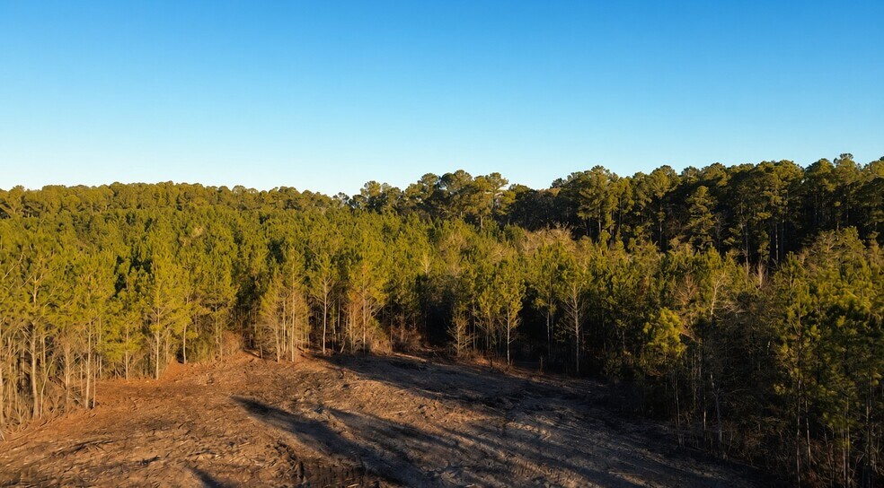 More Photos Of 319 - 547 Sisters Ferry Road, Ridgeland Land For Sale