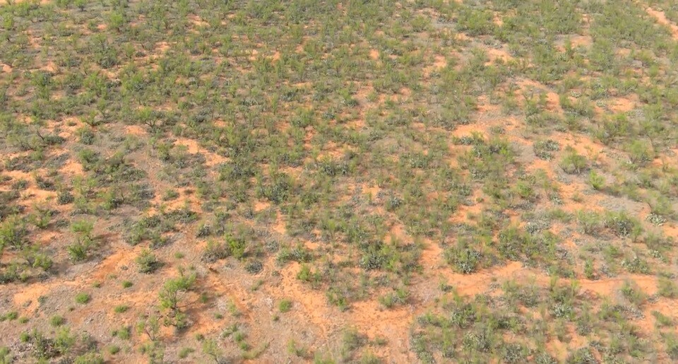 More Photos Of 5710 Co 331 rd, Colorado City Land For Sale