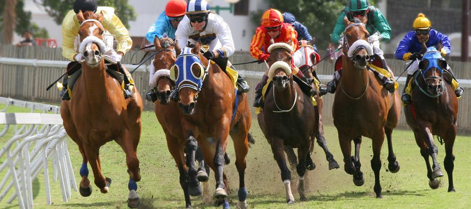 More Photos Of 77A Excelsior Ave, Saratoga Springs Apartments For Lease