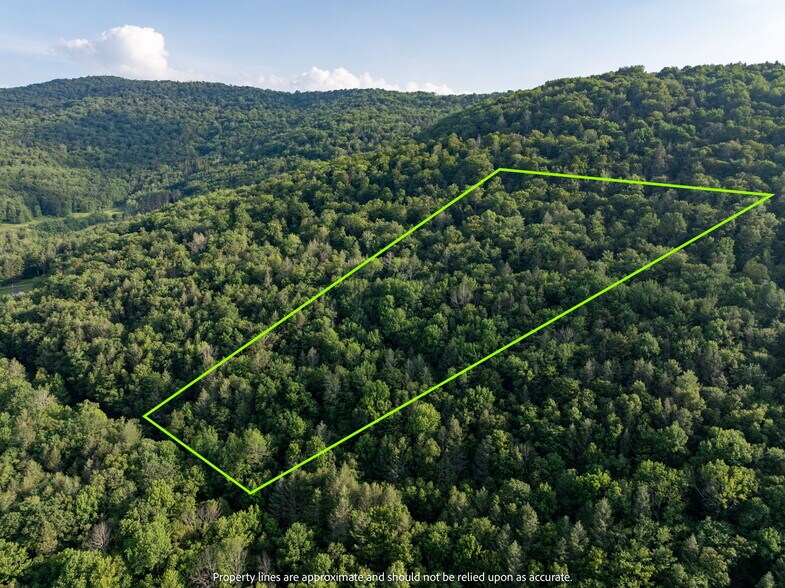 More Photos Of Broadchannel Road, Andes Land For Sale