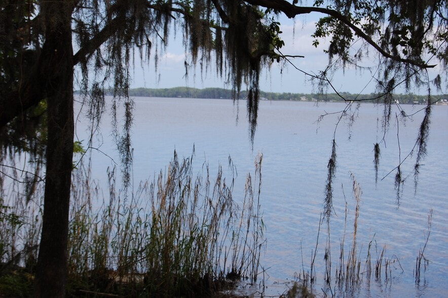 More Photos Of 254 Saint Johns Dr, Palatka Land For Sale