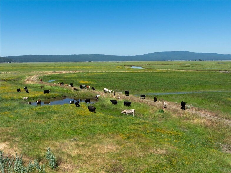 More Photos Of 0000 Punkin Center Road, Bieber Land For Sale