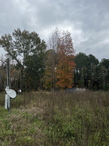 More Photos Of 2833 FM 350 S, Livingston Land For Sale
