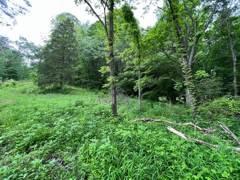 More Photos Of 6387 Airport Rd, Andrews Land For Sale