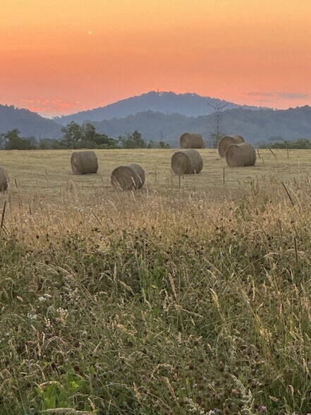 More Photos Of Flatwoods Road, Mosheim Land For Sale