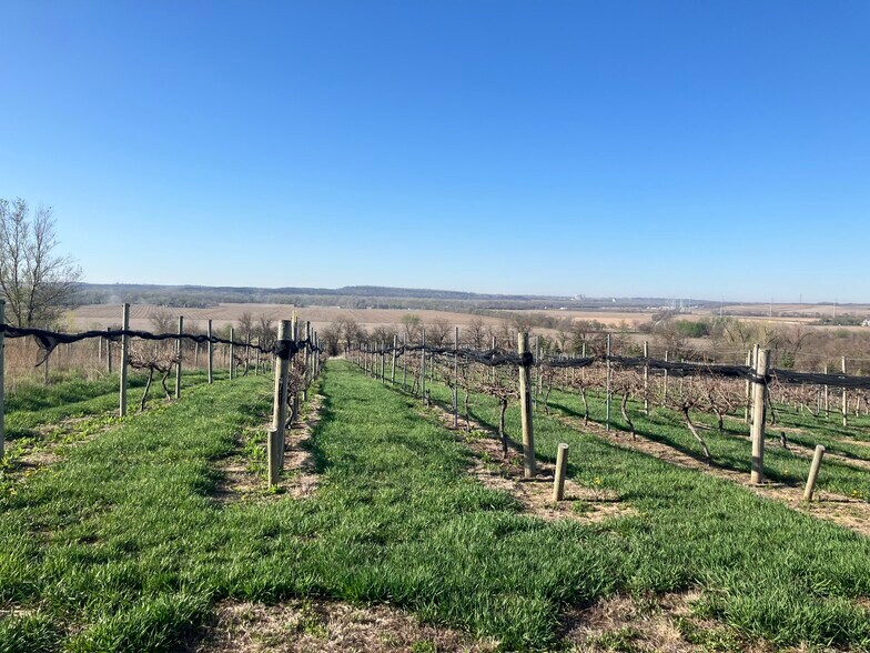 More Photos Of 17111-17145 S 138th St, Springfield Winery Vineyard For Sale
