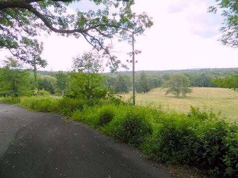 More Photos Of 1744 Route 611, Mount Pocono Land For Sale