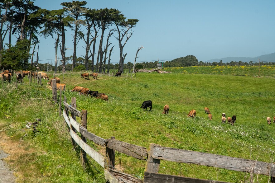 More Photos Of 21601 S Highway 1, Point Arena Land For Sale