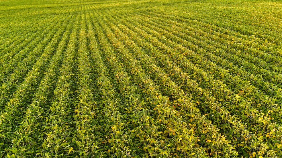 More Photos Of Rock Creek Drive, Maxwell Land For Sale