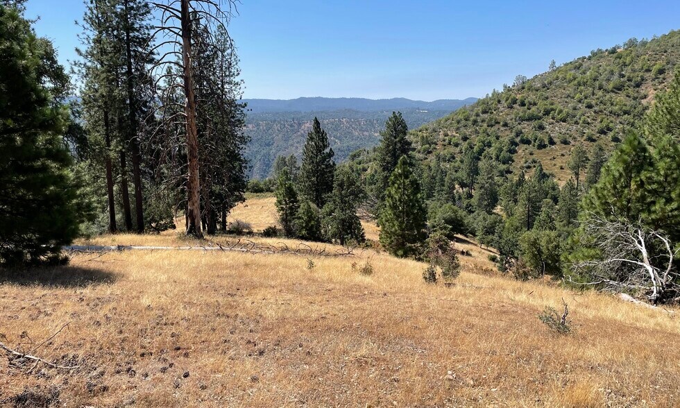 More Photos Of 00000 Forrest Road 1N19, Tuolumne Land For Sale