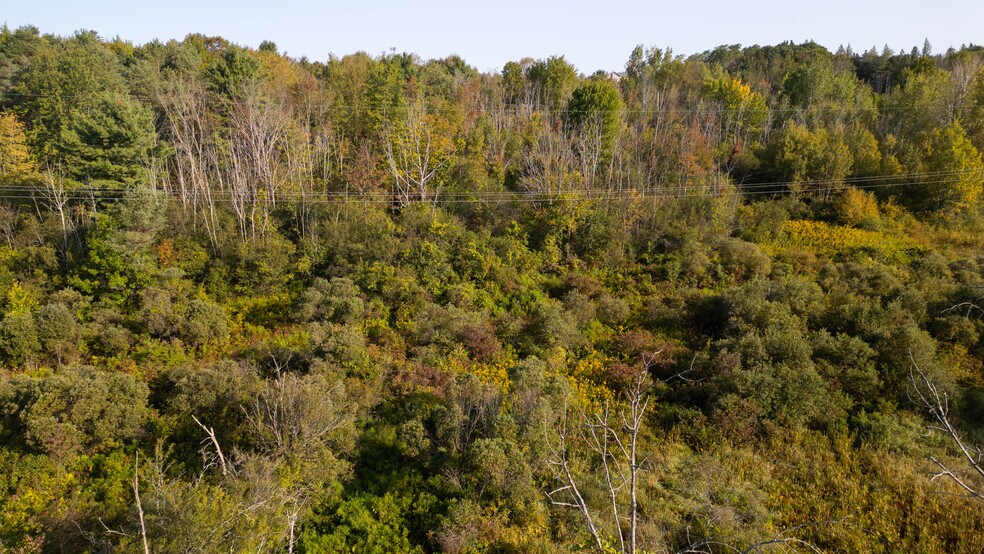 More Photos Of 219 Mudge rd, Delanson Land For Sale