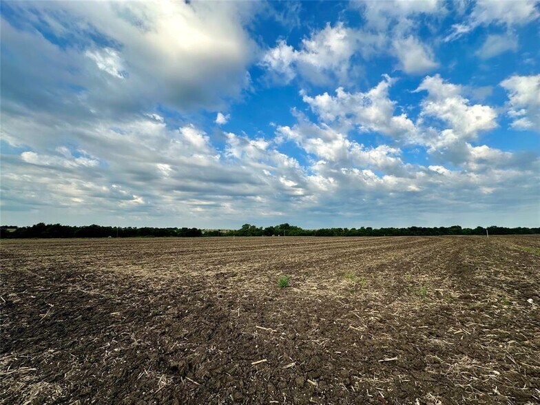 Primary Photo Of TBD County Road 320, Granger Land For Sale