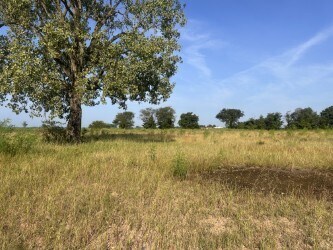 More Photos Of 9520 S State Route 78, Ridgely Service For Sale