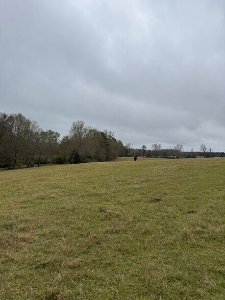 More Photos Of 1681 Sibley School rd, Greensboro Land For Sale