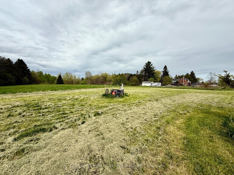 More Photos Of 823 6 Hwy N, Hamilton Land For Sale