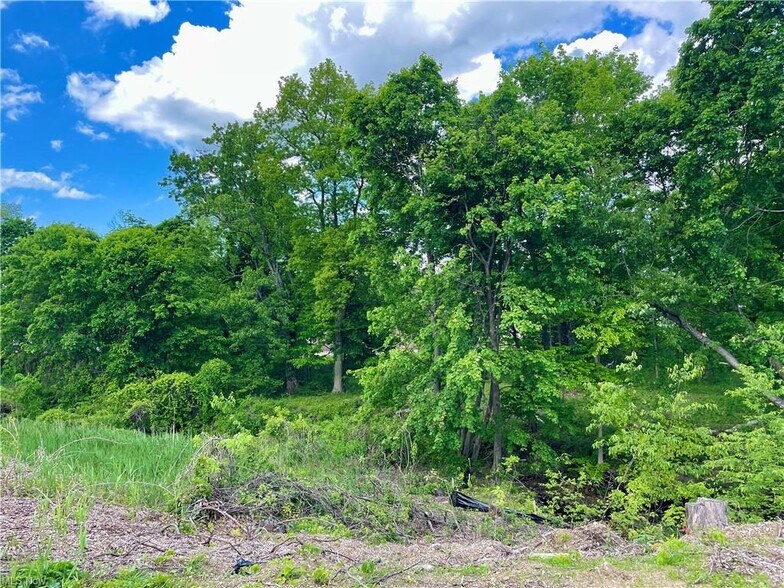 More Photos Of 9025 Jackson st, Mentor Land For Sale