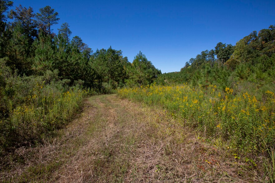 More Photos Of Walter Bright Road & 15-501, Sanford Land For Sale