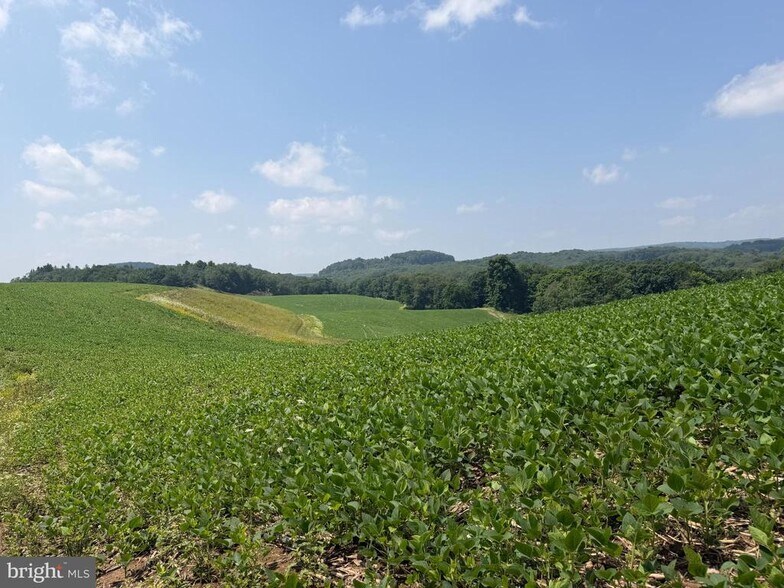 More Photos Of 361 Caney Valley Rd, Markleysburg Land For Sale