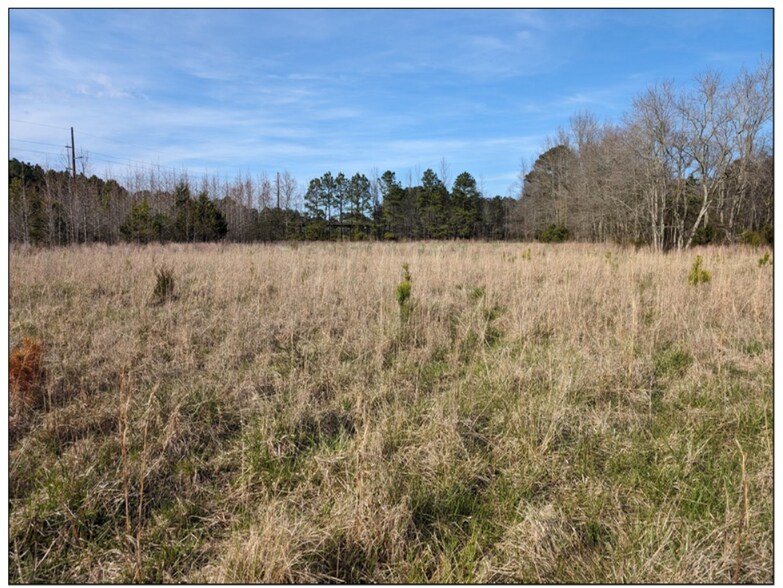 More Photos Of 0 Old Eden Rd, Eden Land For Sale