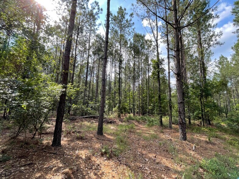 More Photos Of 229 Colbert Bridge Road, Windsor Land For Sale