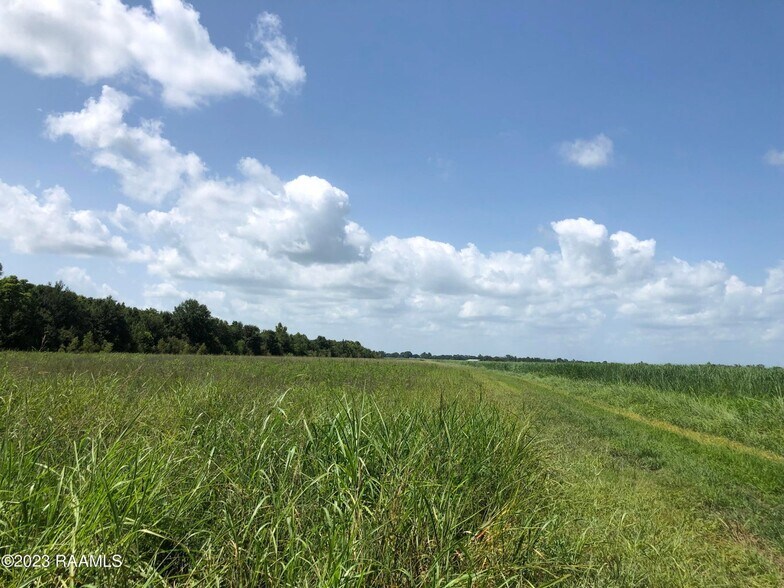 More Photos Of TBD Trahan Rd., New Iberia Land For Sale