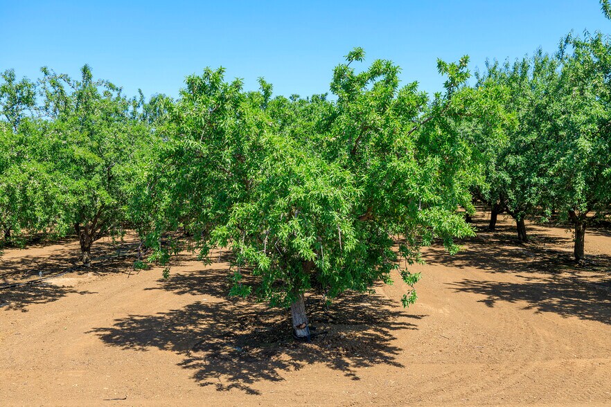 More Photos Of Draper Rd, Newman Land For Sale